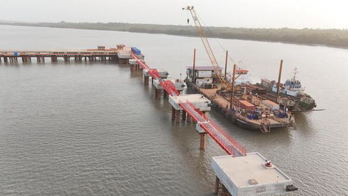 一季度利潤(rùn)逼近2024年全年,河南國際集團(tuán)發(fā)展解碼